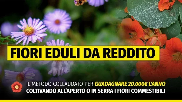 Fiori Eduli da reddito MASTER – Rendita Agricola