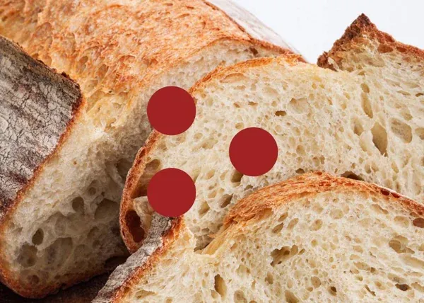 Il Pane con Lievito Madre e Lievito Misto – Fudemy