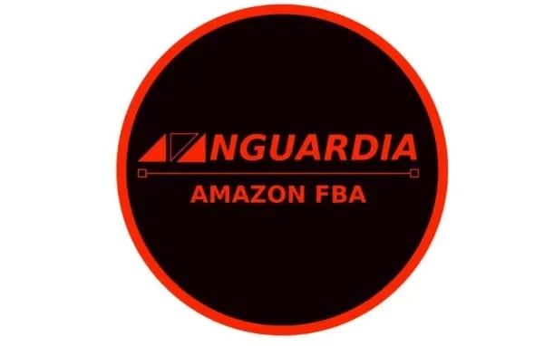 Avanguardia FBA 2.0 di Giorgio Tavazza